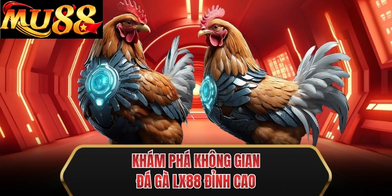 kham pha khong gian da ga mu88 dinh cao kham pha khong gian da ga mu88 dinh cao