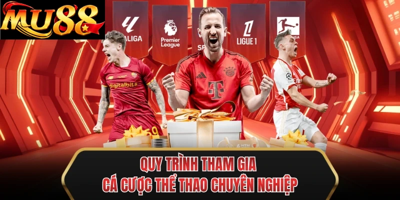 quy trinh tham gia ca cuoc the thao chuyen nghiep quy trinh tham gia ca cuoc the thao chuyen nghiep