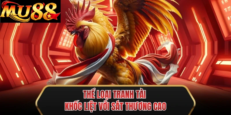 the loai tranh tai khoc liet voi sat thuong cao the loai tranh tai khoc liet voi sat thuong cao