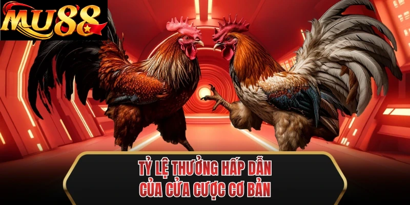 ty le thuong hap dan cua cua cuoc co ban ty le thuong hap dan cua cua cuoc co ban